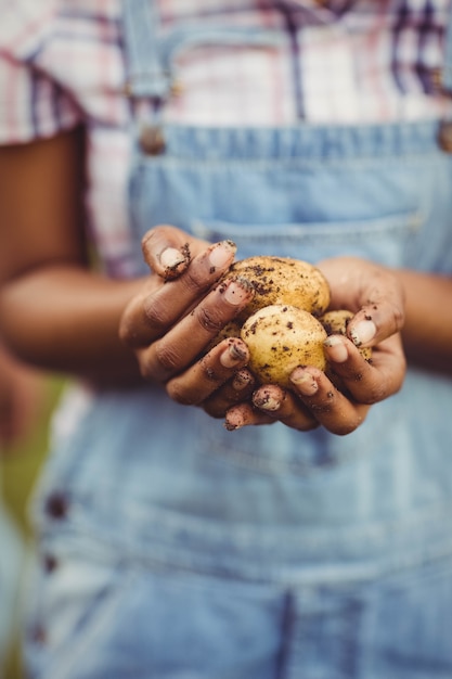 Close up of woman holding potatoes in the garden