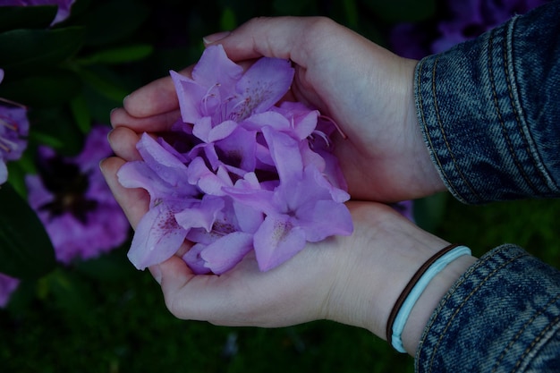 Photo close-up of woman holding purple flower