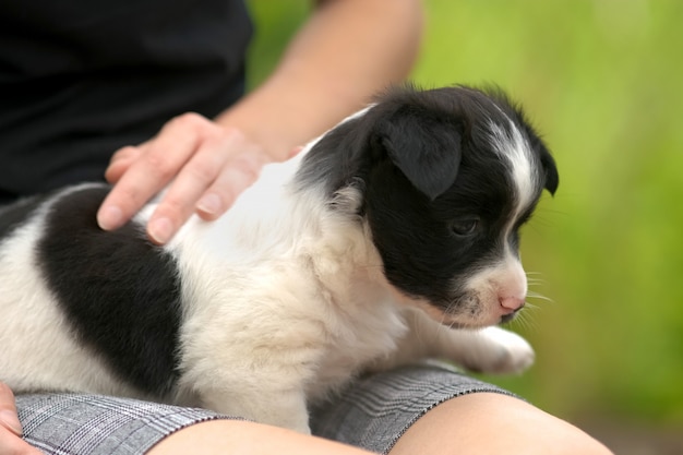 Close up of a woman holding small puppy on her lap.