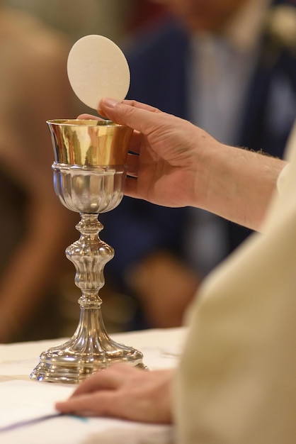 Close-up of woman holding wine glass