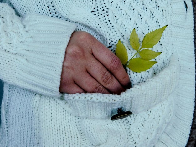 Close-up of woman keeping leaf in sweater