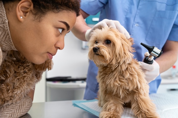 Photo close up woman looking at dog