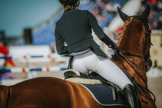 Close-up of woman riding horse