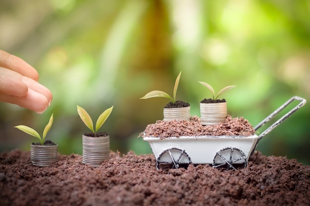 若い植物を育て、水をまく女性の手のクローズアップは、ビジネスへの投資または概念を保存するためのコインのスタックで育ちます