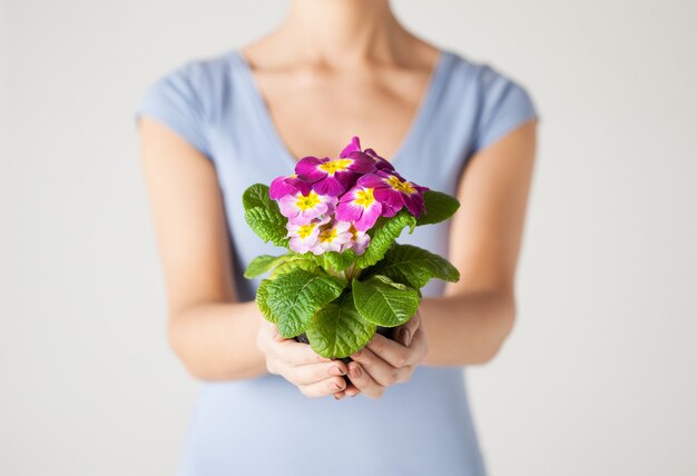 ポットに花を保持している女性の手のクローズアップ