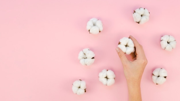 Foto close-up donna con fiori di cotone