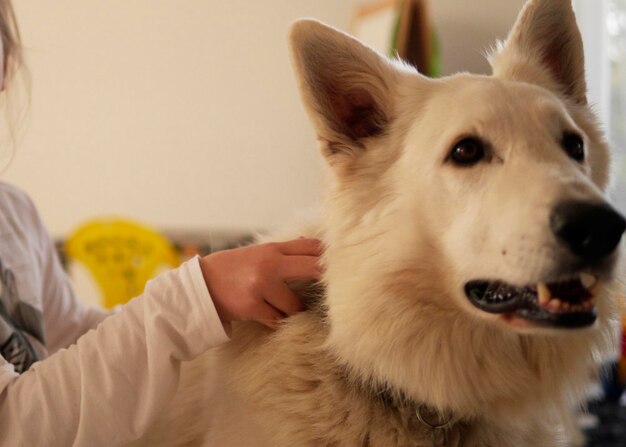 Photo close-up of woman with dog