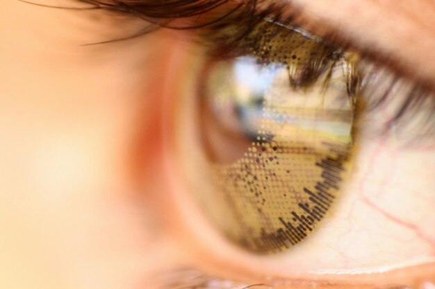 Close-up of womans eye