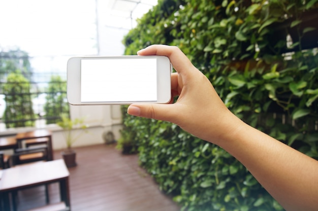 Close up of women's hands holding cell telephone blank copy space screen. smart phone with technology concept