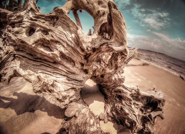 Foto prossimo piano del legno sulla spiaggia