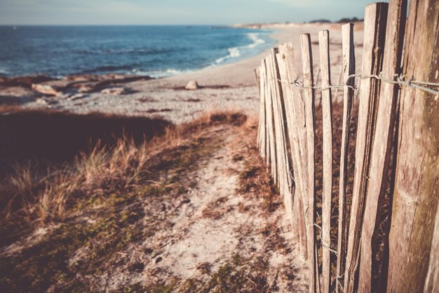 Photo close-up of wood on beach