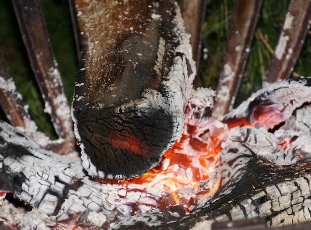 Close-up of wood burning on field