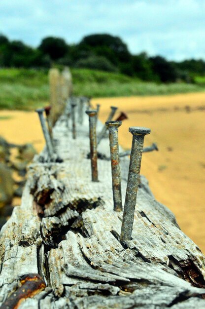 Close-up of wood on field against sky