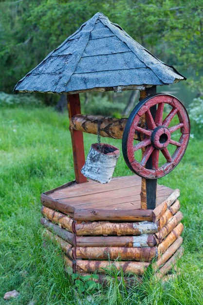 Close-up of wood on field