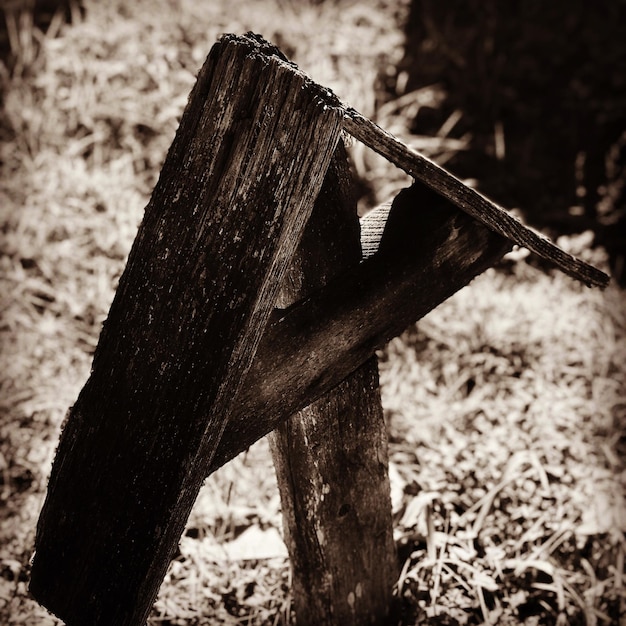 Photo close-up of wood on field