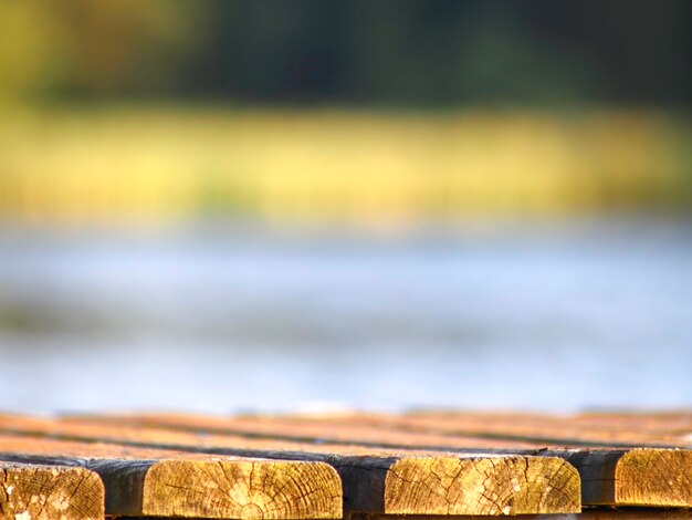 Close-up of wood on lake