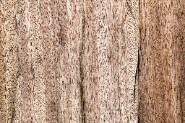 Close up on wood surface