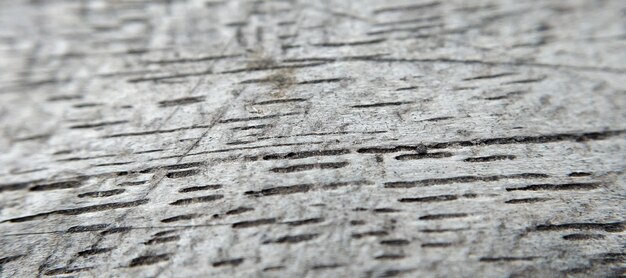 Close up of wood texture Abstract background and texture for design