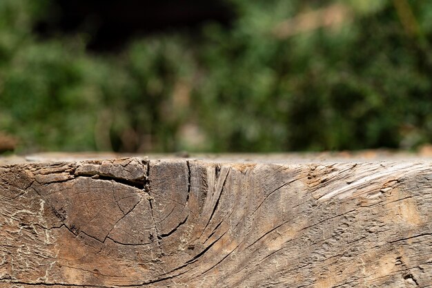 Photo close up wood texture background