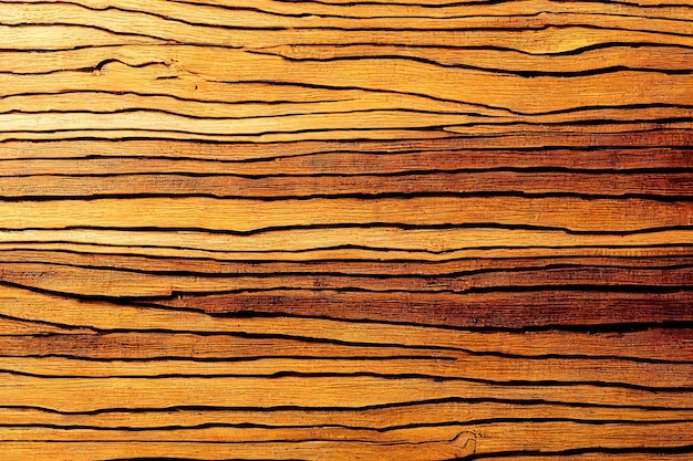 Close up wood texture background