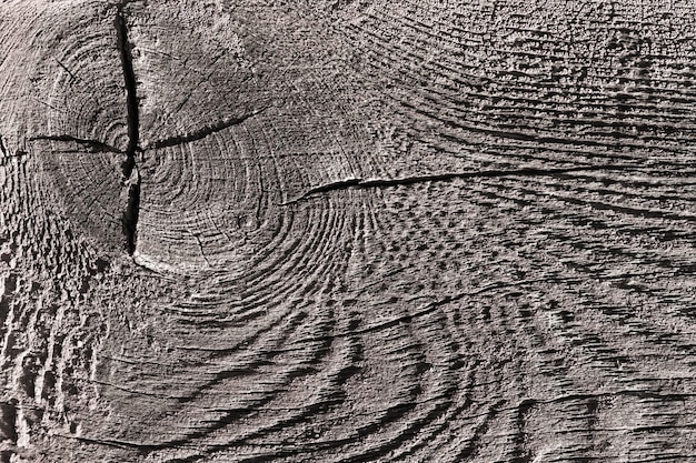 Close up of wood texture with natural fibers board material for construction