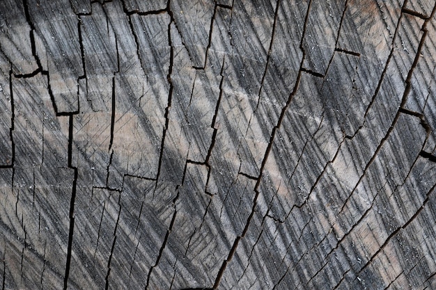 Close up of wood texture with natural fibers board material for construction