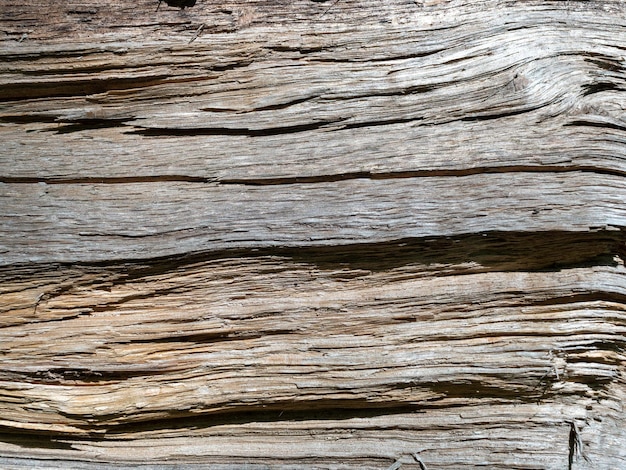 Photo a close up of a wood with a rough texture