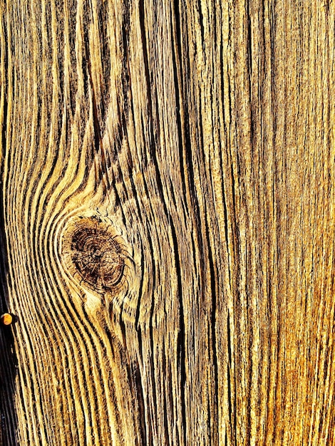 Foto prossimo piano del legno