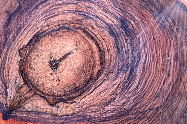 Close-up of wood