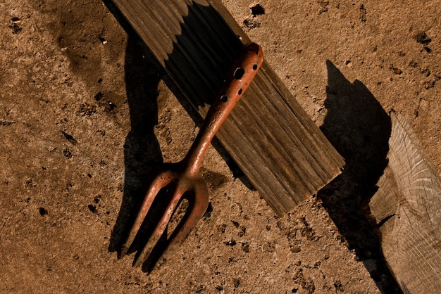 Photo close-up of wood