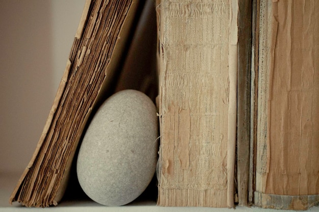 Photo close-up of wood