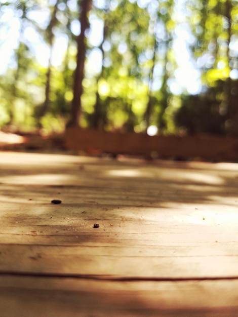 Foto prossimo piano del legno