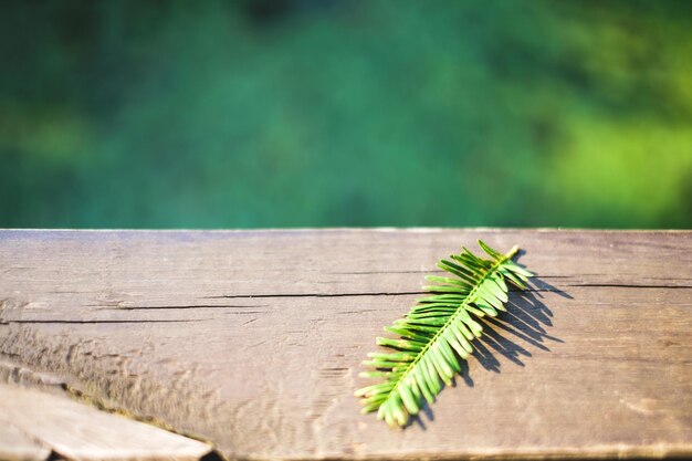 Foto prossimo piano del legno