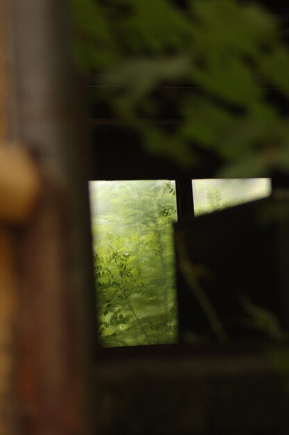 Photo close up of wood