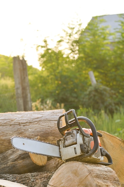 Photo close-up of woodcutter sawing chain saw in motion, sawdust fly to sides. a person using a chainsaw on pretty wood.woodcutter saws tree with chainsaw on sawmill