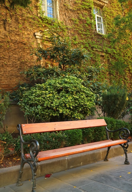 Close up on wooden bench near vintage house