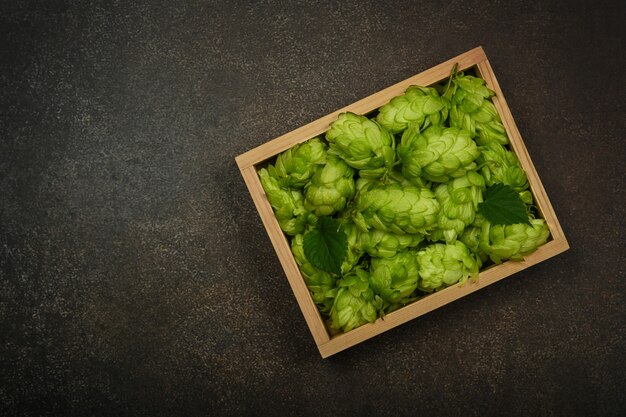 Close up on wooden box of fresh green hops on table