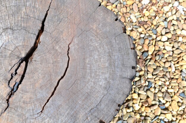 close-up wooden cut