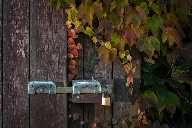 Foto close-up di una porta in legno sull'impianto