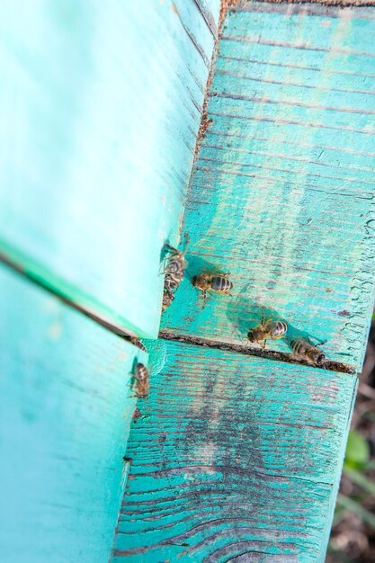 Foto prossimo piano di una porta di legno