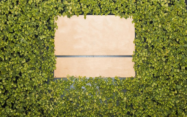 緑の葉の背景、田舎の概念の碑文のための木製の空のボードのクローズアップ