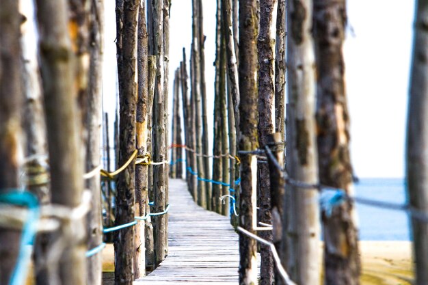 Close-up of wooden fence on beach