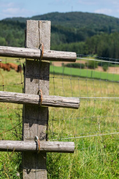 Close-up of wooden fence on field at farm