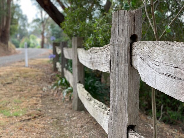 Photo close-up of wooden fence in forest