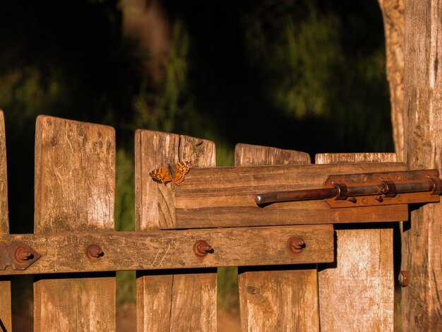 Close-up of wooden gate