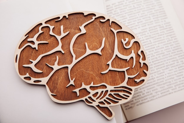 Close-up of wooden model of brain laying on books.