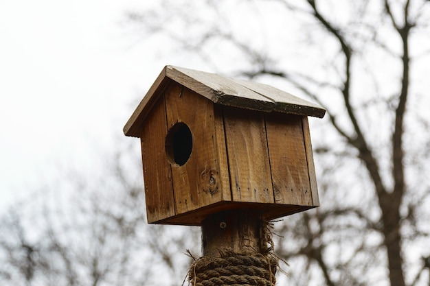 Close up on wooden nest in the park