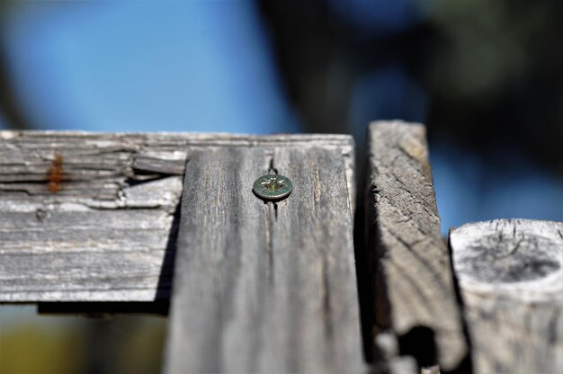 Close-up of wooden plank