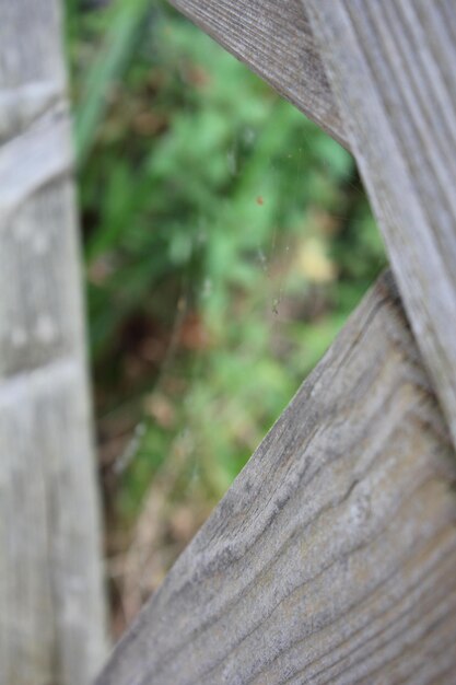 Photo close-up of wooden plank