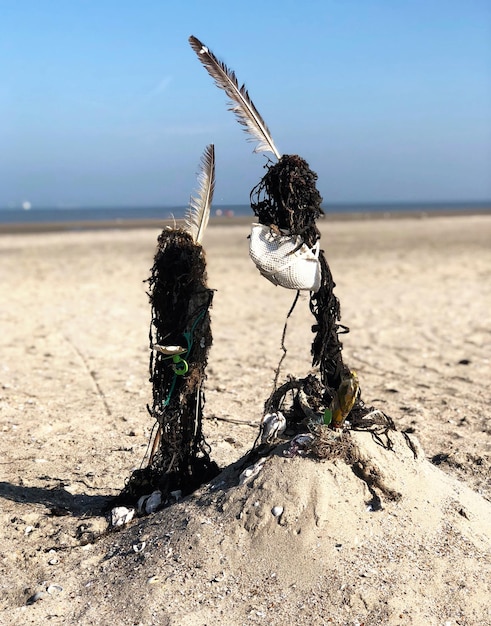 Photo close-up of wooden post on beach against clear sky